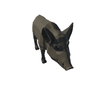 Boar Baby